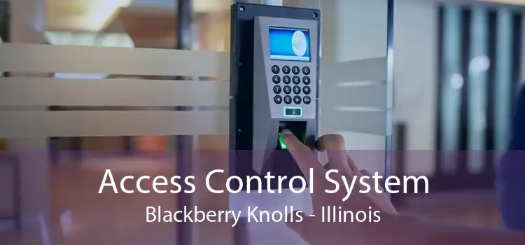 Access Control System Blackberry Knolls - Illinois