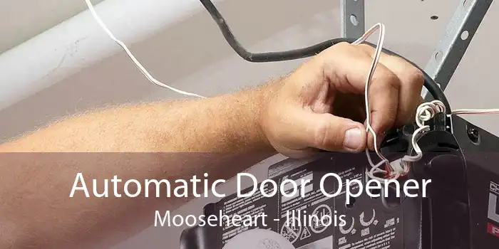 Automatic Door Opener Mooseheart - Illinois