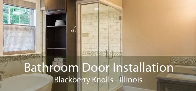 Bathroom Door Installation Blackberry Knolls - Illinois