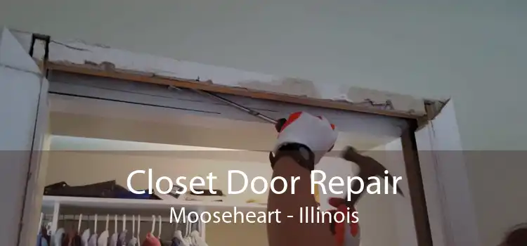 Closet Door Repair Mooseheart - Illinois