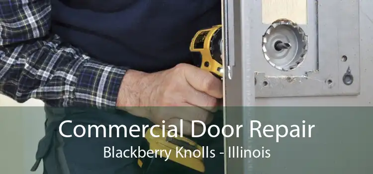 Commercial Door Repair Blackberry Knolls - Illinois