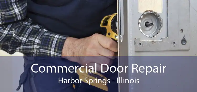 Commercial Door Repair Harbor Springs - Illinois