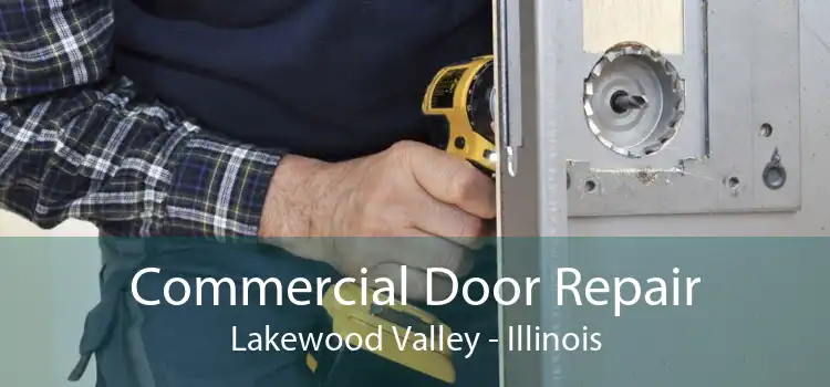 Commercial Door Repair Lakewood Valley - Illinois