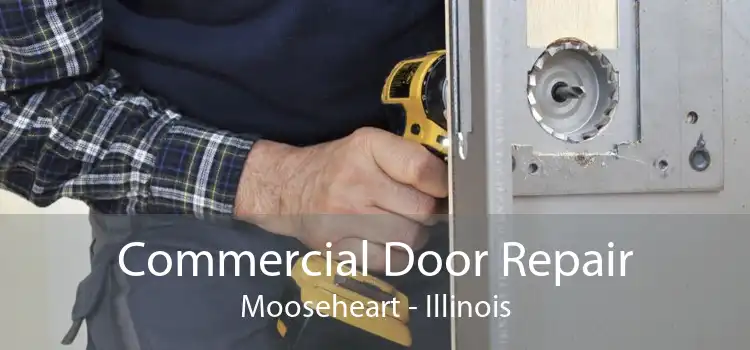 Commercial Door Repair Mooseheart - Illinois