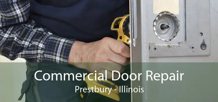 Commercial Door Repair Prestbury - Illinois