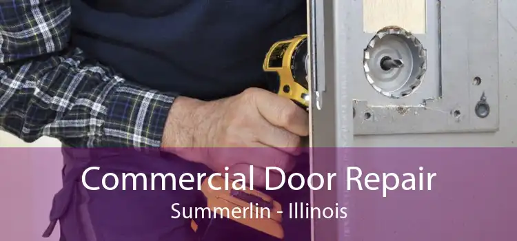 Commercial Door Repair Summerlin - Illinois