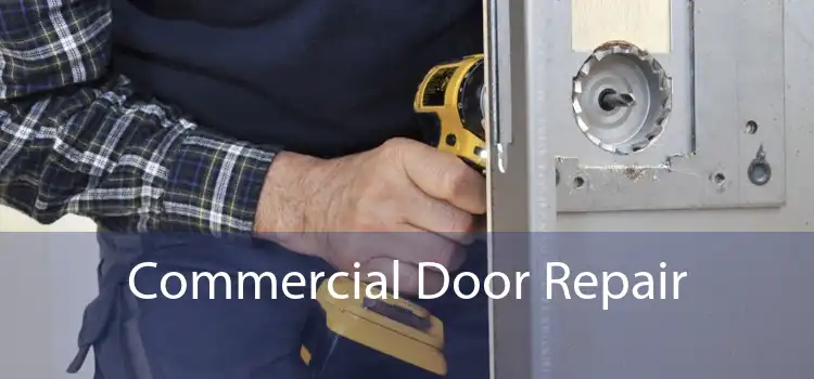 Commercial Door Repair 