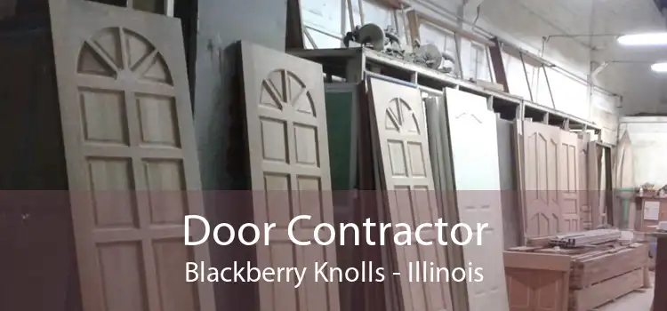 Door Contractor Blackberry Knolls - Illinois