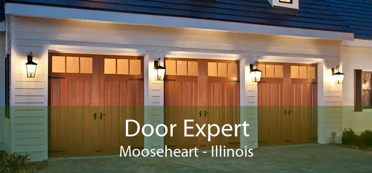 Door Expert Mooseheart - Illinois