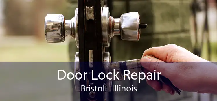 Door Lock Repair Bristol - Illinois