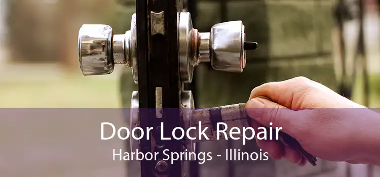 Door Lock Repair Harbor Springs - Illinois