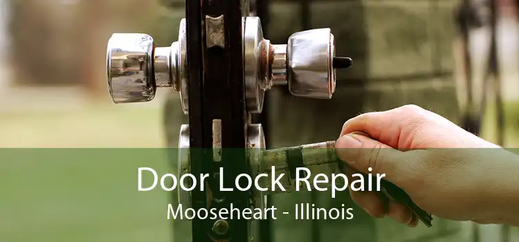 Door Lock Repair Mooseheart - Illinois