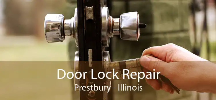 Door Lock Repair Prestbury - Illinois