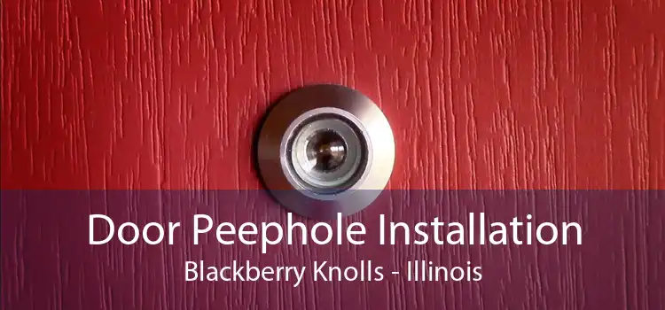 Door Peephole Installation Blackberry Knolls - Illinois