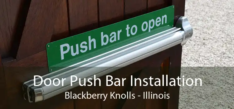 Door Push Bar Installation Blackberry Knolls - Illinois