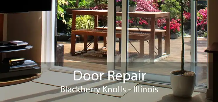 Door Repair Blackberry Knolls - Illinois