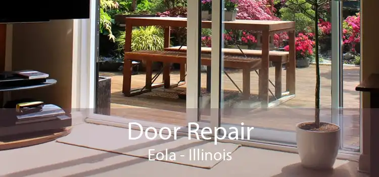 Door Repair Eola - Illinois