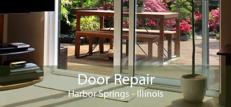 Door Repair Harbor Springs - Illinois