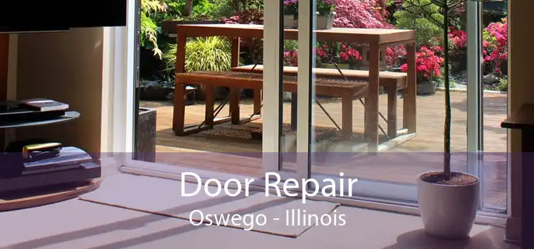 Door Repair Oswego - Illinois