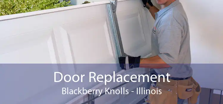 Door Replacement Blackberry Knolls - Illinois