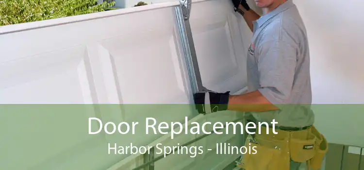 Door Replacement Harbor Springs - Illinois