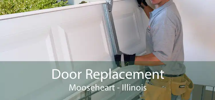 Door Replacement Mooseheart - Illinois