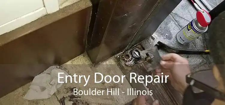 Entry Door Repair Boulder Hill - Illinois