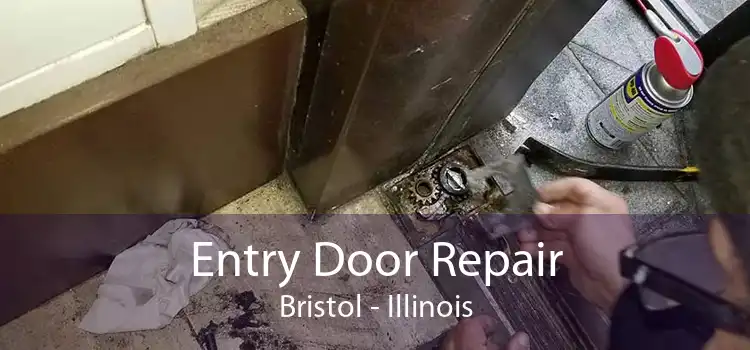 Entry Door Repair Bristol - Illinois