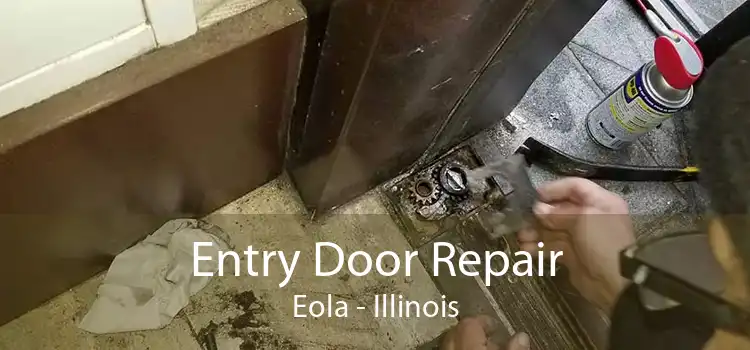 Entry Door Repair Eola - Illinois