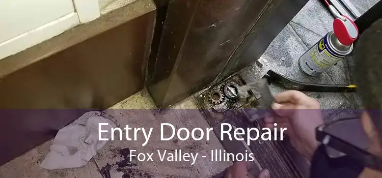 Entry Door Repair Fox Valley - Illinois