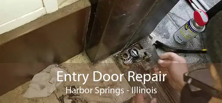 Entry Door Repair Harbor Springs - Illinois