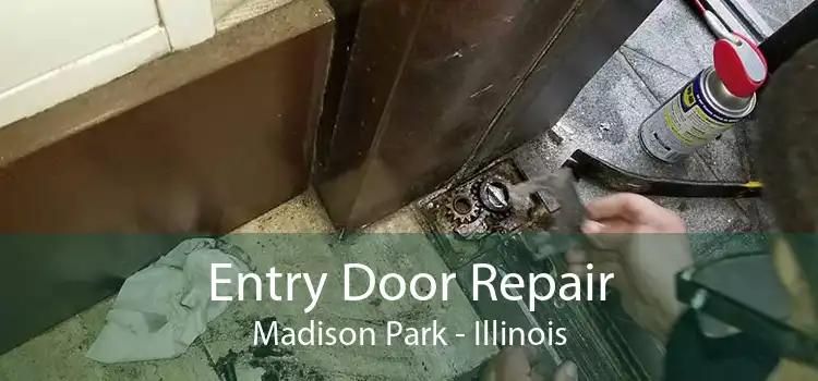 Entry Door Repair Madison Park - Illinois