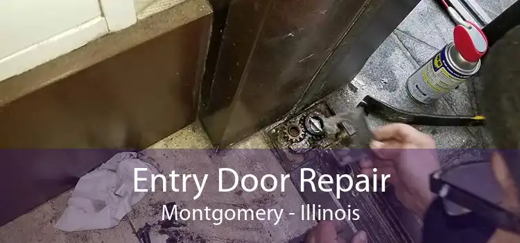 Entry Door Repair Montgomery - Illinois