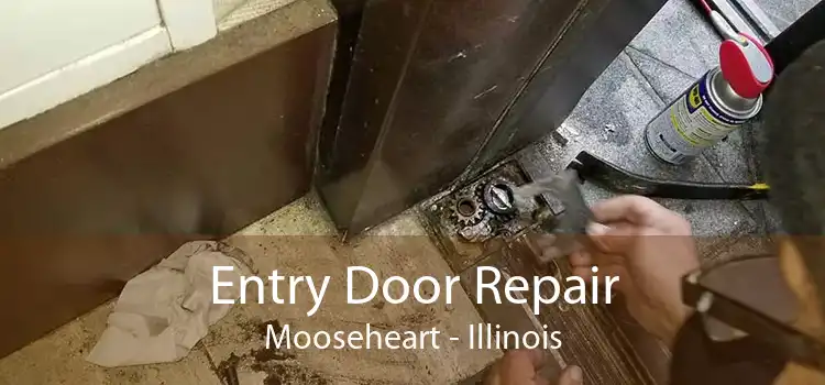 Entry Door Repair Mooseheart - Illinois