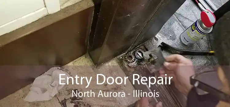 Entry Door Repair North Aurora - Illinois