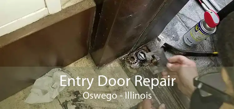 Entry Door Repair Oswego - Illinois