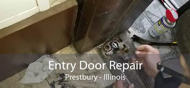 Entry Door Repair Prestbury - Illinois