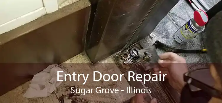 Entry Door Repair Sugar Grove - Illinois