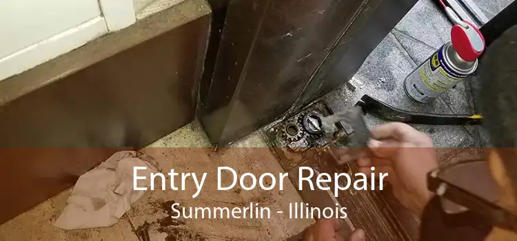 Entry Door Repair Summerlin - Illinois