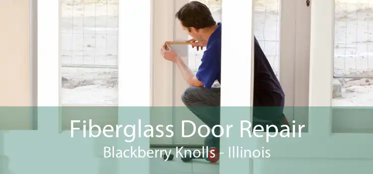 Fiberglass Door Repair Blackberry Knolls - Illinois