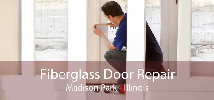 Fiberglass Door Repair Madison Park - Illinois