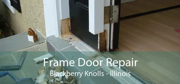 Frame Door Repair Blackberry Knolls - Illinois