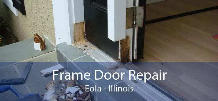 Frame Door Repair Eola - Illinois