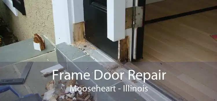 Frame Door Repair Mooseheart - Illinois