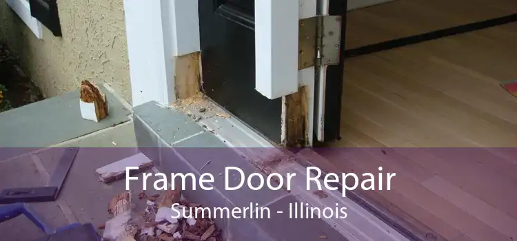 Frame Door Repair Summerlin - Illinois