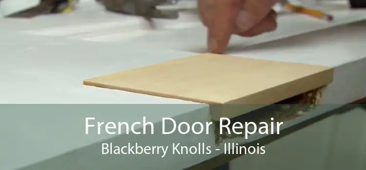 French Door Repair Blackberry Knolls - Illinois