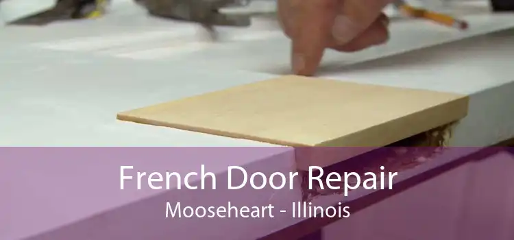 French Door Repair Mooseheart - Illinois