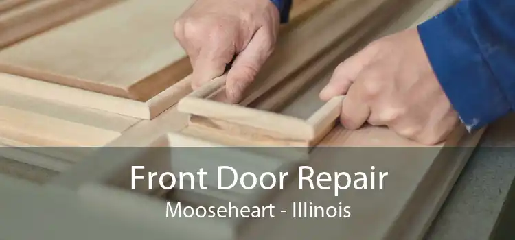 Front Door Repair Mooseheart - Illinois