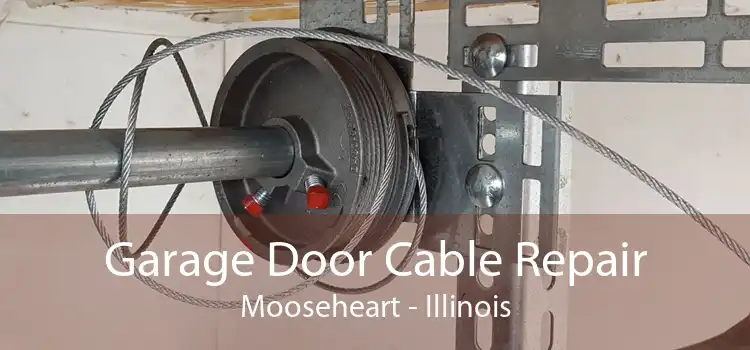 Garage Door Cable Repair Mooseheart - Illinois