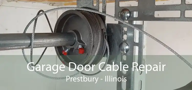 Garage Door Cable Repair Prestbury - Illinois